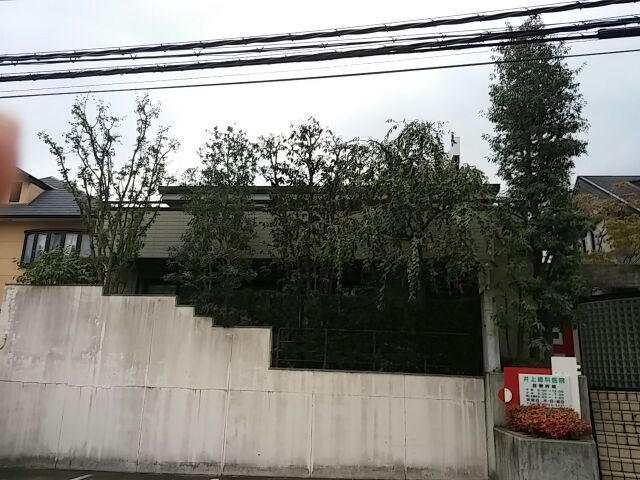 川西市I様邸剪定作業