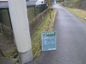 RIMG1379