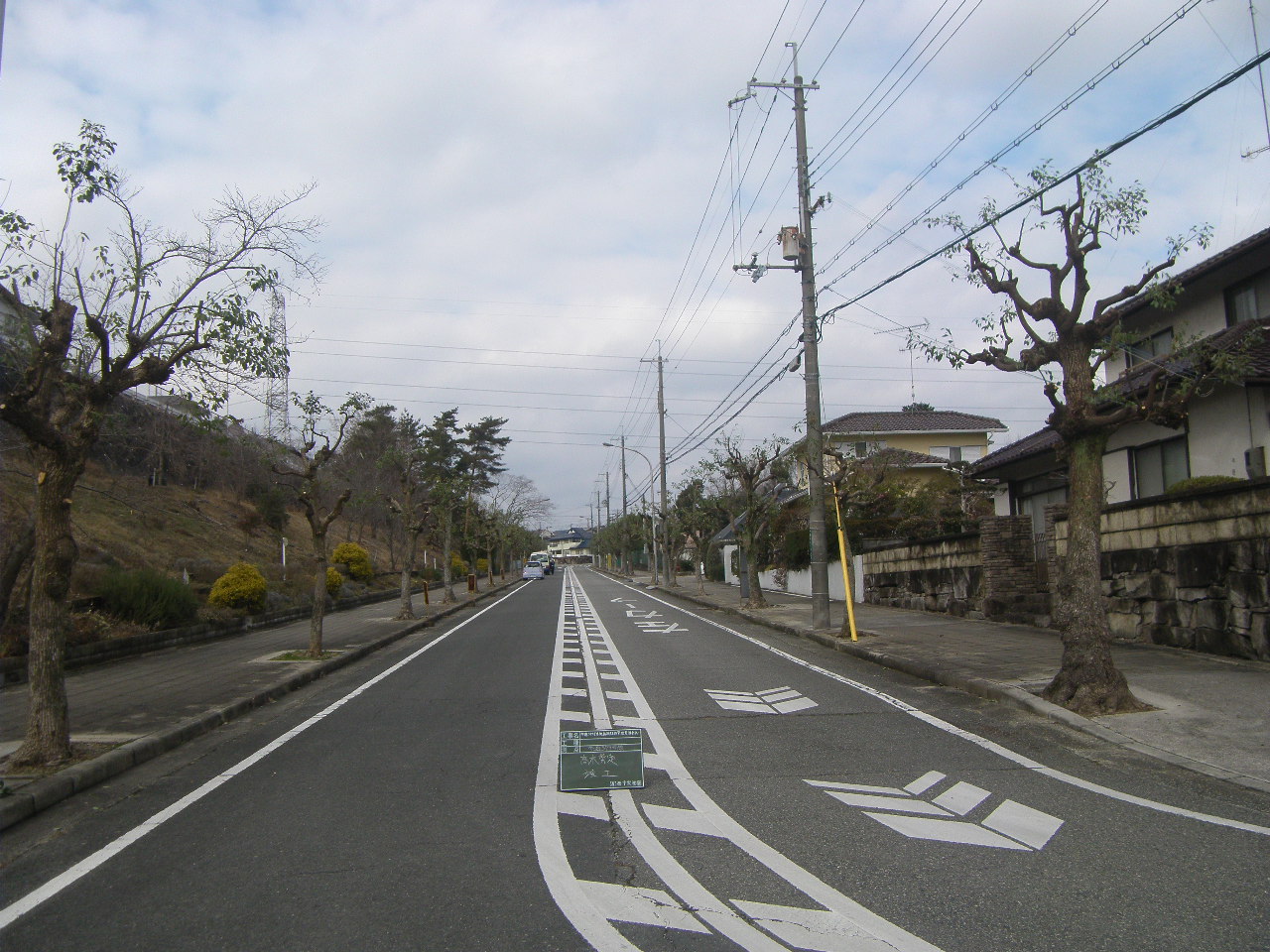 市道379号外街路樹維持管理業務